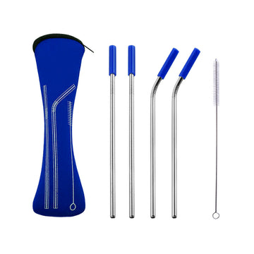 Reusable Stainless Steel Straw Set with Carrying Case and Cleaning Brush